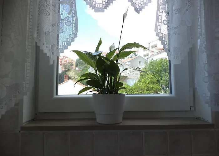 阿巴客房公寓 3* 杜布罗夫尼克